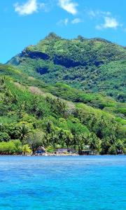 a view of the ocean with a mountain in the background at Fare Anuhe HUAHINE in HUH