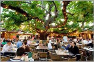 un grupo de personas sentadas en mesas bajo un árbol en Stunning Apartment in Neutral Bay GRO17401, en Sídney