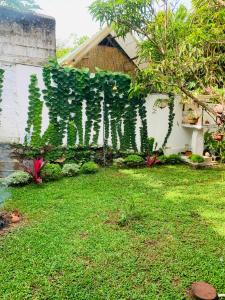 a wall covered in green ivy next to a yard at Ramesh Guesthouse in Mirissa