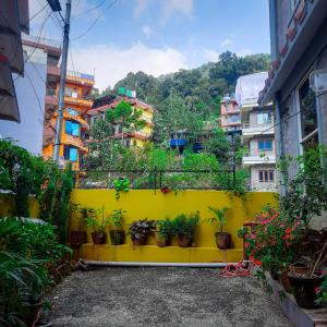 un muro giallo con piante in vaso di Hotel Elite Pokhara a Pokhara