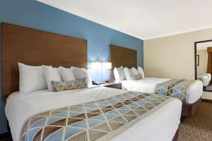 two beds in a hotel room with blue walls at Best Western Airport Albuquerque InnSuites Hotel & Suites in Albuquerque +28 photos