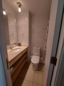 a bathroom with a toilet and a sink and a mirror at DEPARTAMENTOS 3 DORMITORIOS. HASTA 5 PERSONAS. in Santiago