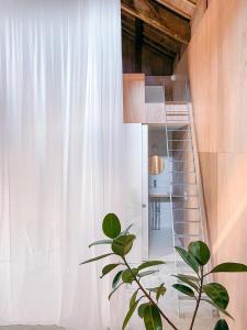 a plant in front of a window with a ladder at Akizuki Casa-Kura in Asakura