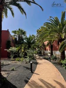 Fotografia z galérie ubytovania Tamarindo Amas by Rentalfue v destinácii Corralejo