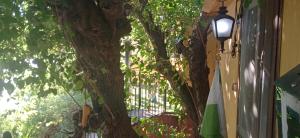 A garden outside Casa en el río