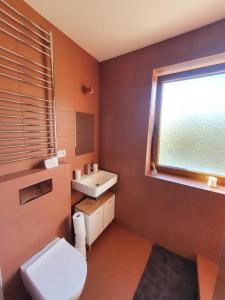 Koupelna v ubytování Útulný apartmán v srdci Krkonoš se saunou