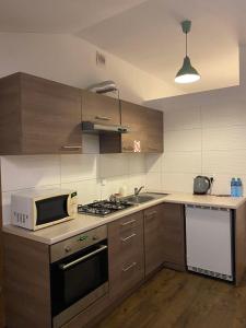 Kuchyňa alebo kuchynka v ubytovaní Apartament Szafir 4a