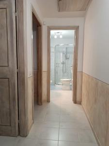 pasillo de un baño con ducha y aseo en Casetta nel Borgo Pianello con vista panoramica, en Muro Lucano
