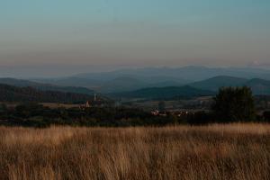 ルトビスカにあるChatka Biesczaderskoの背山の背の高い茶色の草原