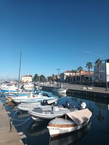 un montón de barcos estacionados en un puerto deportivo en Family Sea Fun Apartment, en Koper