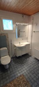 a bathroom with a toilet and a sink and a mirror at Villa Haaveranta - Private Villa by the lake in Rovaniemi