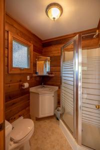 a bathroom with a toilet and a shower and a sink at Mica Mountain Lodge & Log Cabins in Tête Jaune Cache
