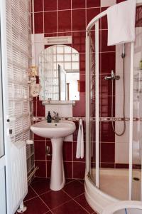 a bathroom with a sink and a shower and a mirror at Gasthaus Hundorf in Viişoara