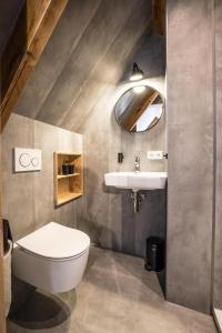 een badkamer met een toilet en een wastafel bij Vakantiehuis in een prachtige bosrijke omgeving in Twente! in Bornerbroek