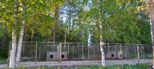 Φωτογραφία από το άλμπουμ του Huoneisto Metso σε Suomussalmi +2 φωτογραφίες