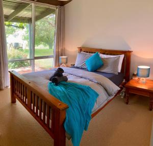 a teddy bear sitting on a bed in a bedroom at Elevation652 at Mt Bellevue in King Valley in Myrrhee