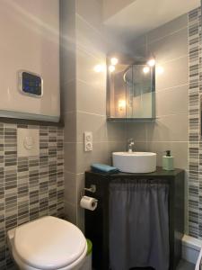 y baño con aseo blanco y lavamanos. en FLOR de MONTANHAS - 4PERS - Appart vacances, en Arette