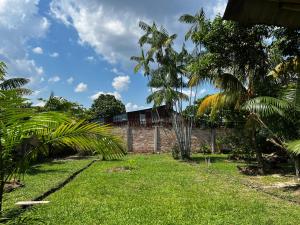 a house in the middle of a yard with palm trees at Otorongo Guest House in Iquitos