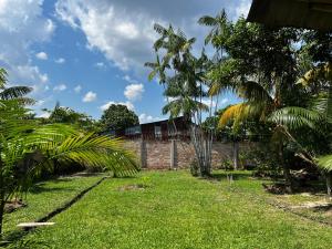 a house in the middle of a yard with palm trees at Otorongo Guesthouse in Iquitos