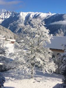 Chalet Familial l'Escapade - Les Marécottes - Swiss Alps v zimě