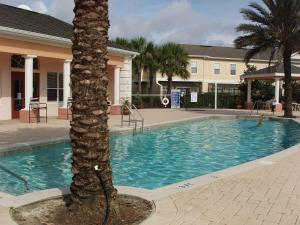 eine Palme vor einem Pool in der Unterkunft Four Bedroom Villa in Coral Cay in Kissimmee