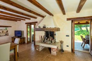 a living room with a fireplace in a house at Villa Mala Kopa in Barban