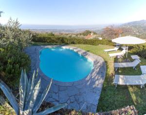una piscina en un patio con sillas y sombrilla en Villa La Piana, en Mommio 20 fotos más