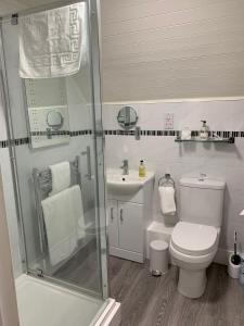 a bathroom with a shower and a toilet and a sink at The Longhouse, Brecon Beacons (King & Twin) in Brecon