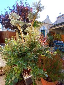 Giardino di MYSaintAubin