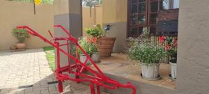 Galeriebild der Unterkunft The Leopard Tree in Polokwane