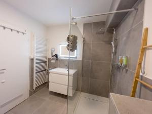 a bathroom with a shower and a toilet and a sink at 3-Zimmer Apartment 88 qm bis zu 8 Personen in Winningen