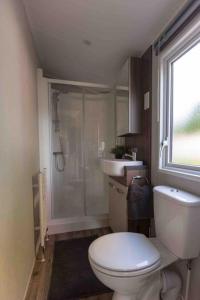 a bathroom with a toilet and a shower and a sink at 6-persoons chalet in Voorthuizen op de Veluwe in Voorthuizen