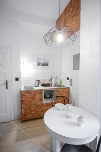 Kuchnia lub aneks kuchenny w obiekcie LION apartments - Gold