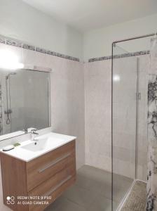 W łazience znajduje się umywalka i prysznic. w obiekcie Appartement de 3 chambres a Le Moule a 800 m de la plage avec piscine partagee et jardin clos w mieście Le Moule
