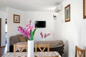 TV a/nebo společenská místnost v ubytování Casa Zahora