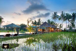 un complejo con piscina, palmeras y una casa en Intan Villa & Suite Ubud, en Ubud