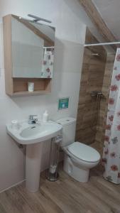 a bathroom with a sink and a toilet and a mirror at Vivienda el Olivar in Mogón