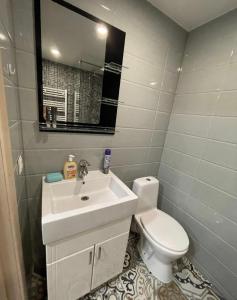 uma casa de banho com um lavatório, um WC e um espelho. em Big and comfortable apartment em Chisinau