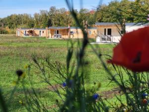 eine Gruppe von Häusern auf einem Feld mit Blumen in der Unterkunft Hoeve Twente - Oeverzwaluw in Heythuysen