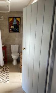 a bathroom with a toilet and a white door at Katie’s Cottage in Limerick