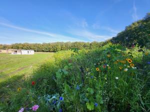 Afbeelding uit fotogalerij van Hoeve Twente - De Bonte Specht in Heythuysen