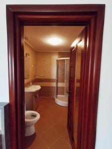 uma casa de banho com um WC, um chuveiro e um lavatório. em Vila Platon em Valea Seacă
