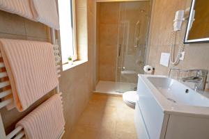 een badkamer met een wastafel, een toilet en een douche bij Landgasthof Adler in Utzmemmingen