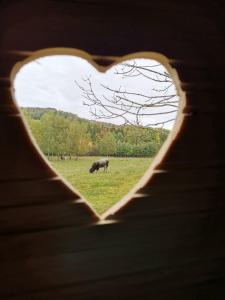 Zvieratá v luxusnom stane alebo blízkom okolí