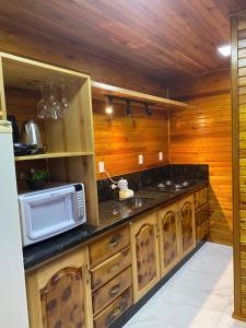 eine Küche mit einer Arbeitsplatte und einer Mikrowelle in der Unterkunft Águia Dourada Hospedagem Casa 01 in Bom Jardim da Serra