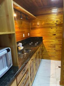 eine Küche mit einer Spüle und einer Mikrowelle in der Unterkunft Águia Dourada Hospedagem Casa 01 in Bom Jardim da Serra