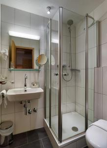 een badkamer met een douche en een wastafel bij Gasthaus zum Kranz in Lörrach