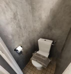 a bathroom with a toilet and a roll of toilet paper at Hotel Holland Lodge in Utrecht