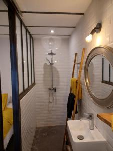 W łazience znajduje się prysznic, umywalka i lustro. w obiekcie L'appartement au cœur de Sète. w mieście Sète +20 zdjęć