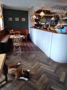 a dog laying on the floor in a restaurant at The Hillmorton Manor Hotel in Rugby